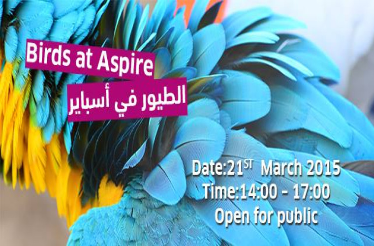 Birds at Aspire Exhibition