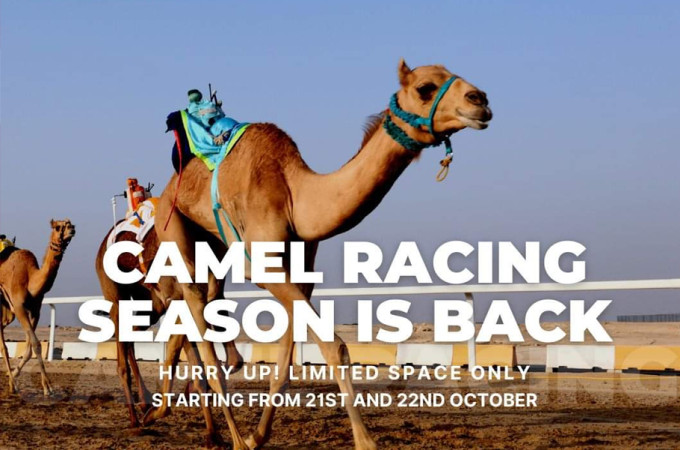 Camel Racing at Al Shahaniya