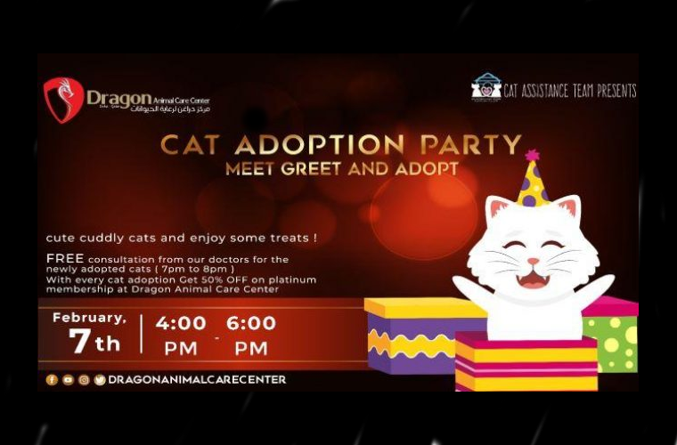 Cat Adoption Party at Dragon Animal Care Center