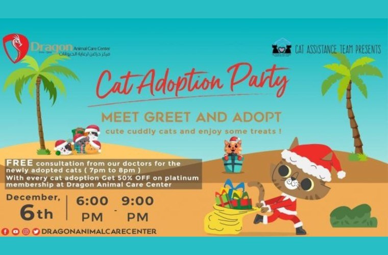 Cat Adoption Party at Dragon Animal Care Center, Doha, Qatar