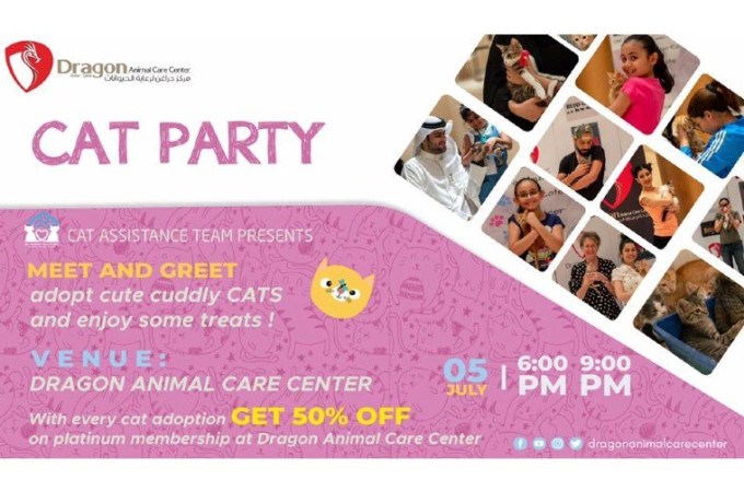 Cat Party at Dragon Animal Care Center