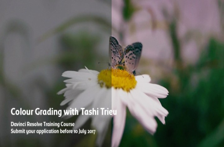 Colour Grading with Tashi Trieu: Davinci Resolve Training Course