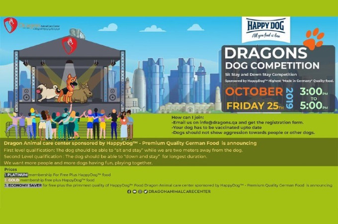 Dragons DOG Competition at Dragon Animal Care Center