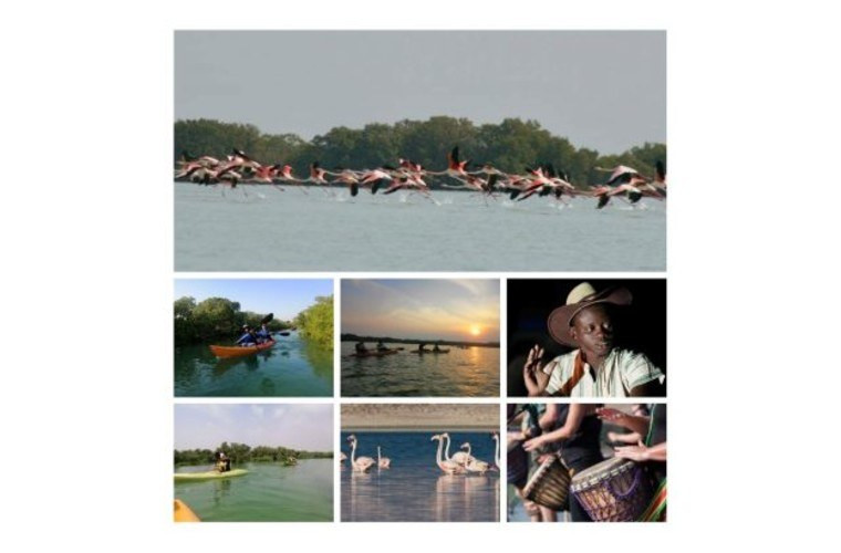 Flamingo Watch, Mangrove Kayaking Exploration Tour and African Drumming