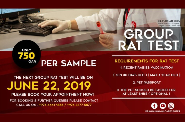 Group Rat Test by Dragon Animal Care Center