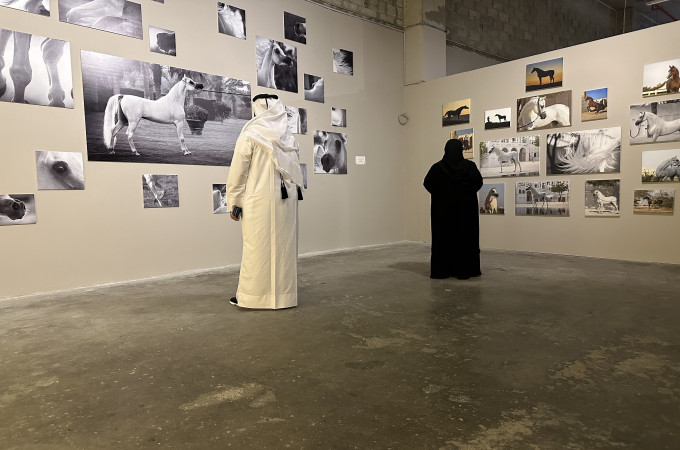 The "Horse Month" exhibition at Msheireb Downtown Doha