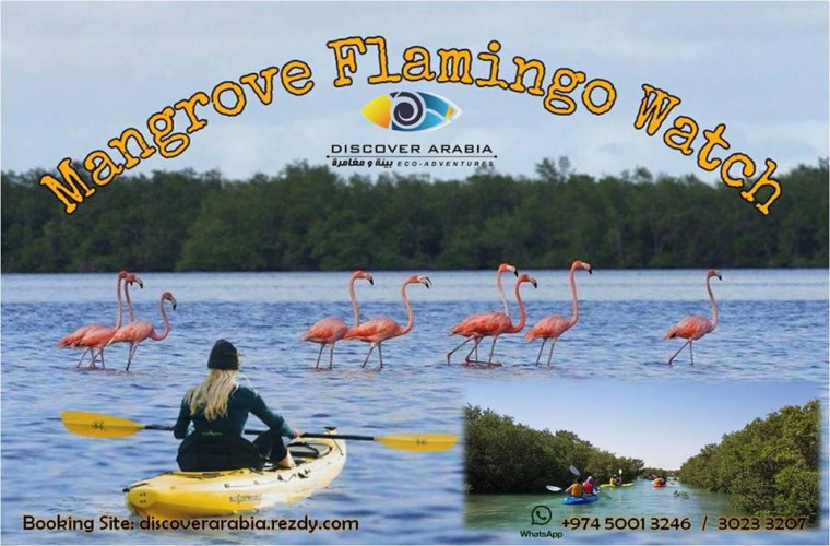KAYAKING EXPLORATION OF A REMOTE MANGROVE ISLAND, AND FLAMINGO WATCHING