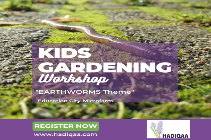 Little Gardener Academy #7-2 - Earthworms