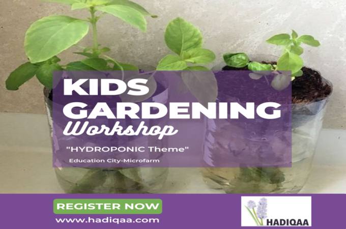 Little Gardener Academy: Hydroponics