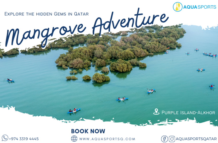 Mangrove Kayaking Eco.Adventure & Discover Wildlife