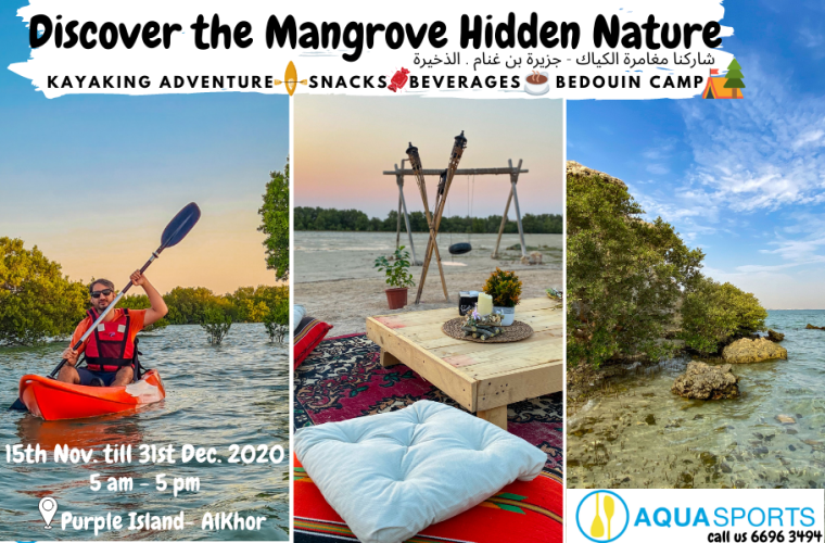 Mangrove Kayaking Eco.Adventure & Discover Wildlife -  Purple Island