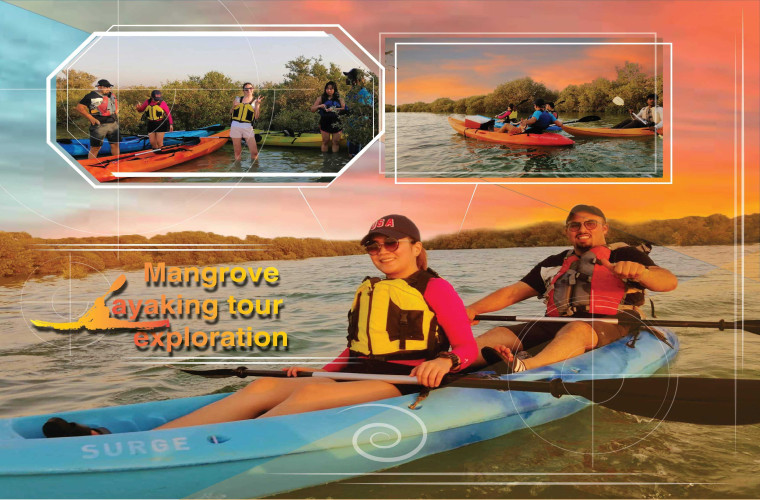 Mangrove Kayaking Exploration Tour
