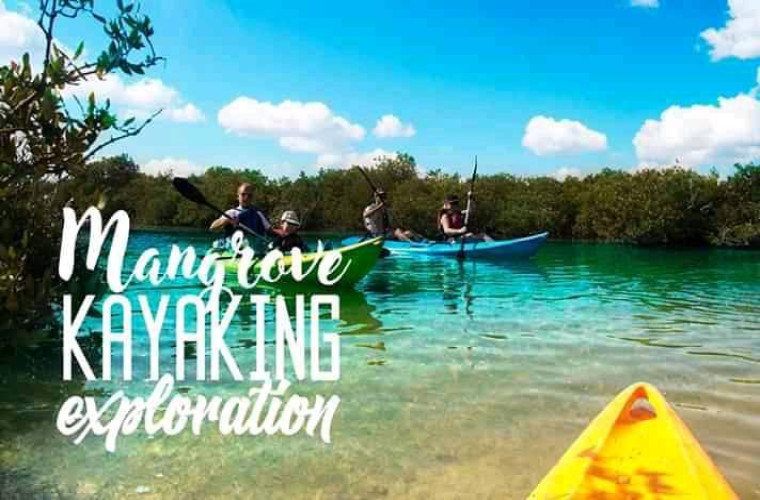 Morning Kayaking Adventures