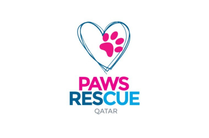 November Quiz Night at Paws Rescue Qatar