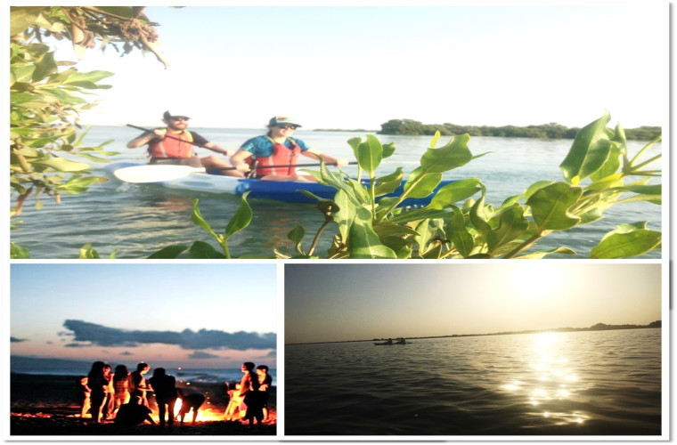 Overnight & Early Morning Kayaking Adventure in Mangrove Island