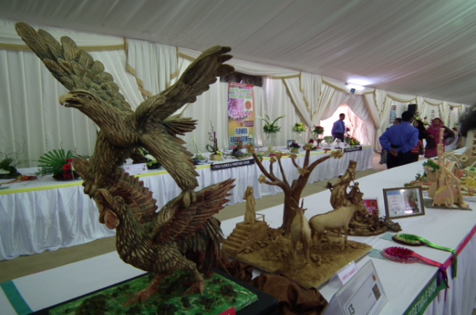 Photoes from 25TH QAFCO FLOWER SHOW