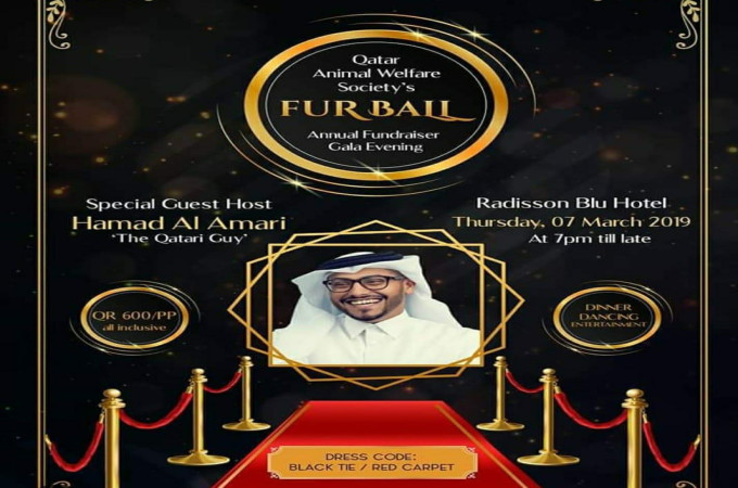Qatar Animal Welfare Society's Furrball