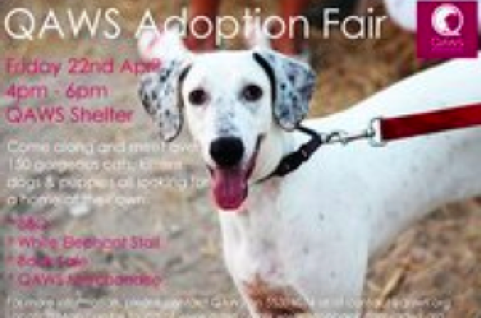 QAWS Adoption Fair!!
