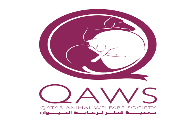 QAWS celebrates National Sports Day