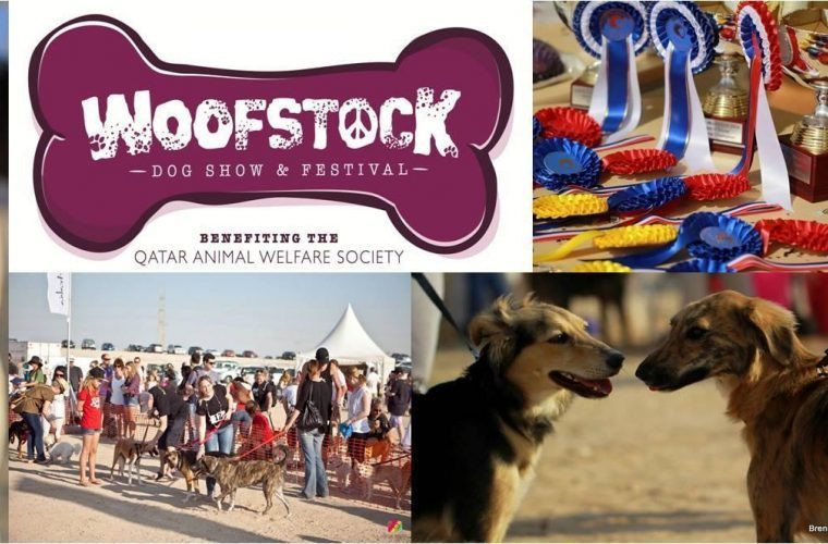 QAWS Woofstock Dog Show 2018