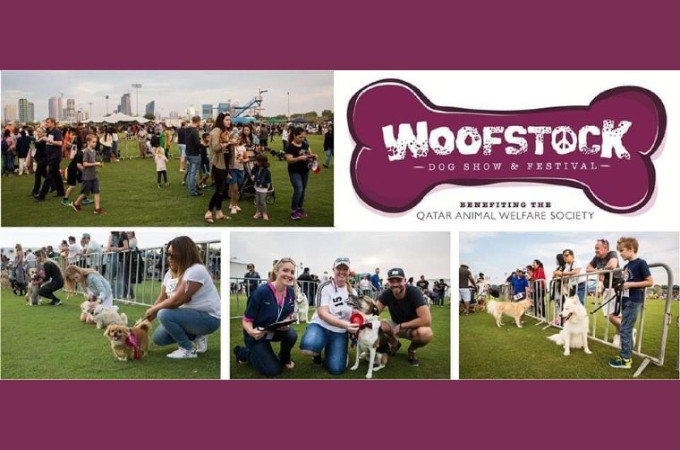QAWS Woofstock Dog Show 2019