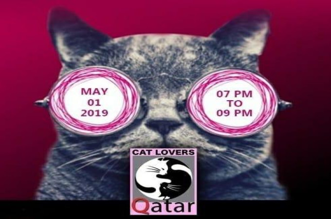 Quiz night by Cat Lovers Qatar