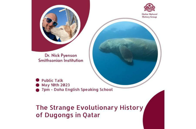 The Strange Evolutionary History of Dugongs in Qatar