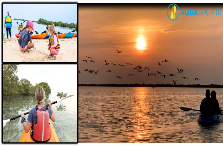Sunset Kayaking Adventure To Flamingo Island & Explore Mangrove Channels