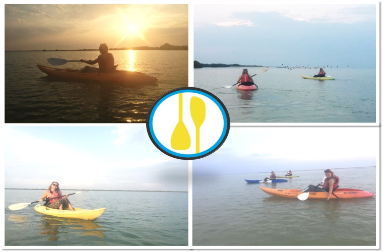 Sunset  Kayaking Adventure To Flamingo Island