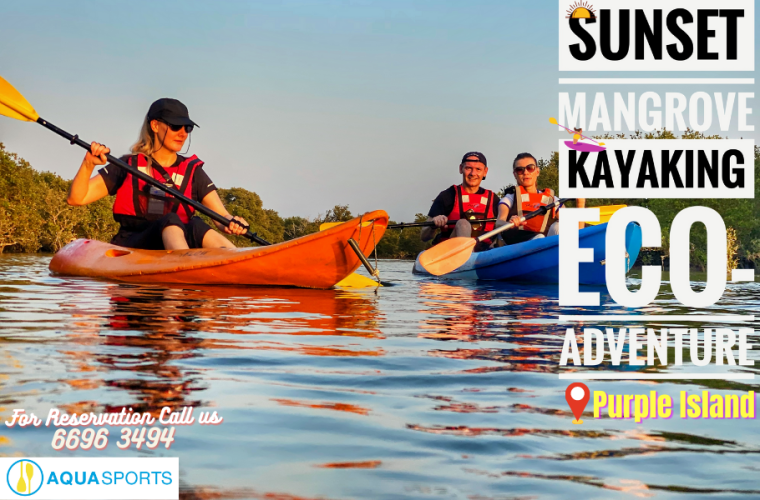 Sunset Kayaking Eco-Adventure & Explore Mangrove in Purple Island