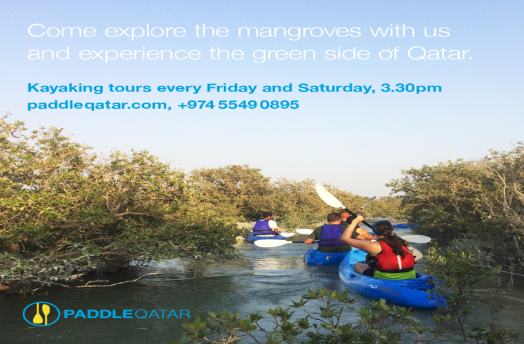 Sunset Kayaking Tour in the Mangroves