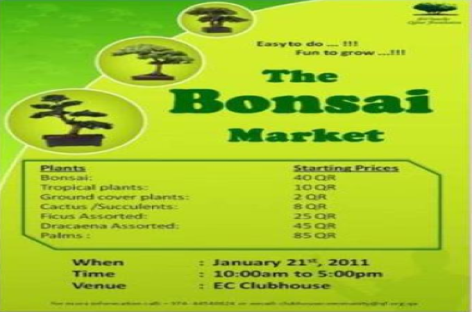The Bonsai Market 