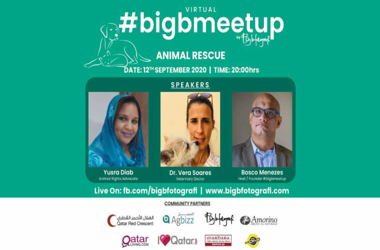 Virtual #BigBMeetUp on Animal Rescue